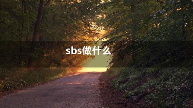 sbs做什么