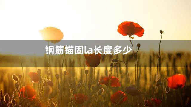 钢筋锚固la长度多少