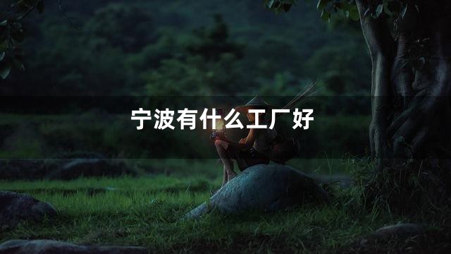 宁波有什么工厂好