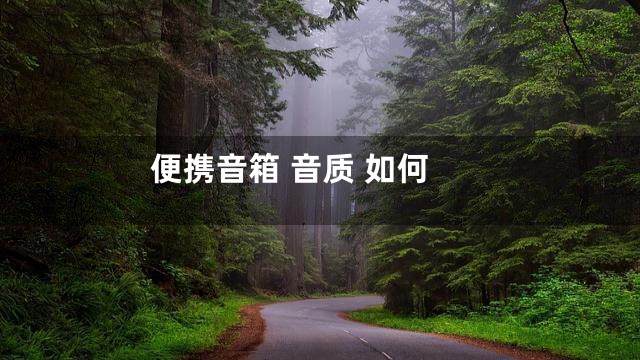 便携音箱 音质 如何