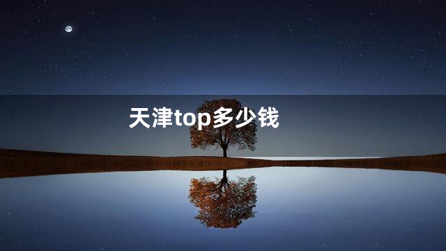 天津top多少钱