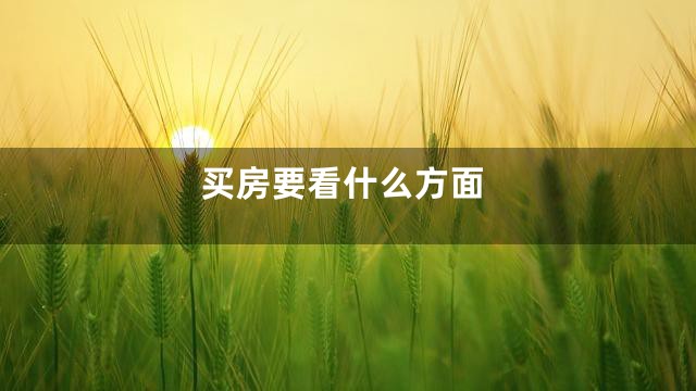 买房要看什么方面