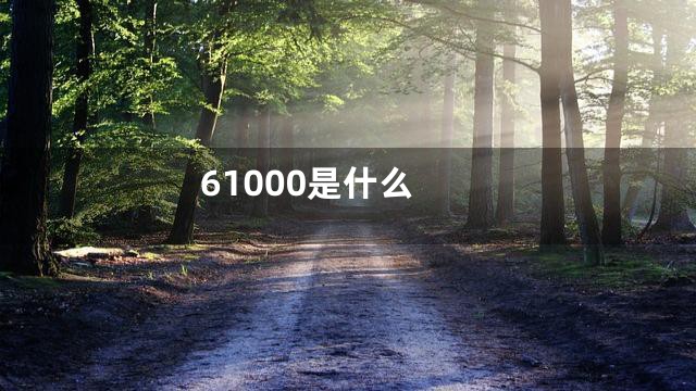61000是什么