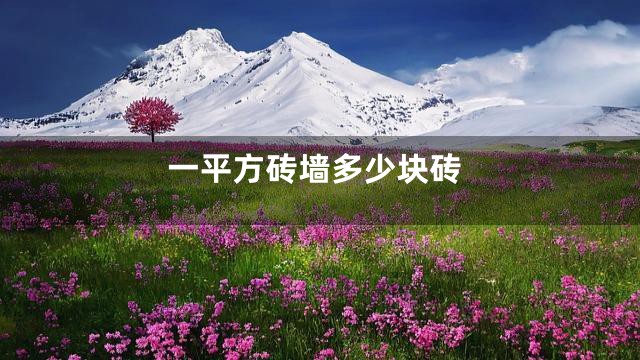 一平方砖墙多少块砖