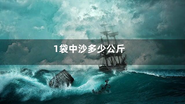 1袋中沙多少公斤