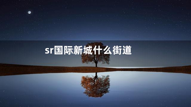 sr国际新城什么街道