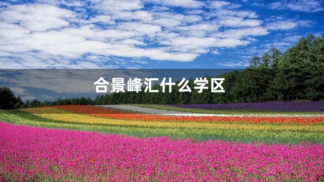 合景峰汇什么学区