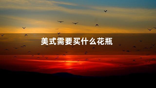 美式需要买什么花瓶