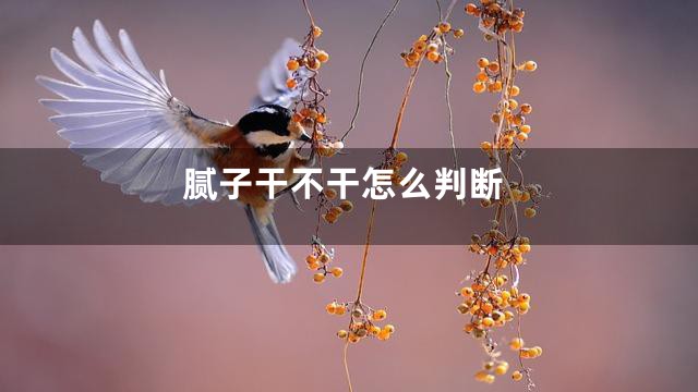 腻子干不干怎么判断