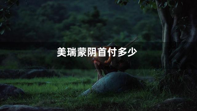 美瑞蒙阴首付多少