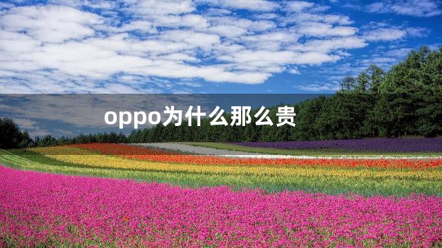 oppo为什么那么贵