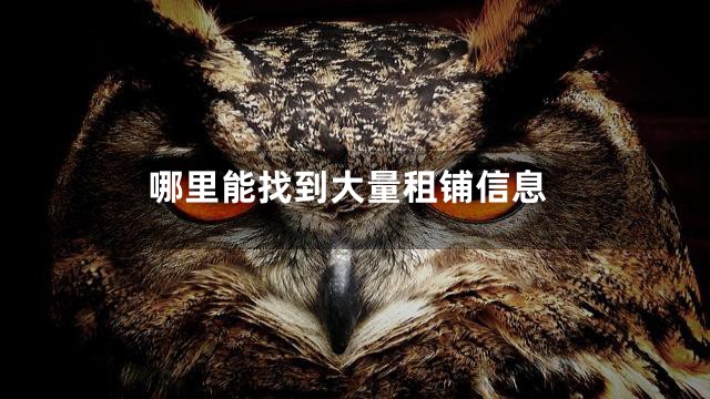 哪里能找到大量租铺信息