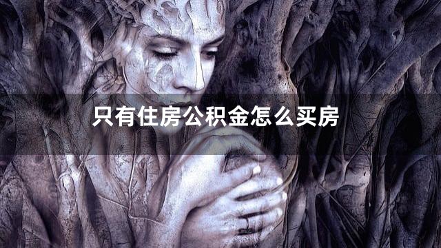 只有住房公积金怎么买房