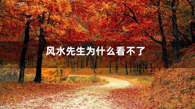 风水先生为什么看不了