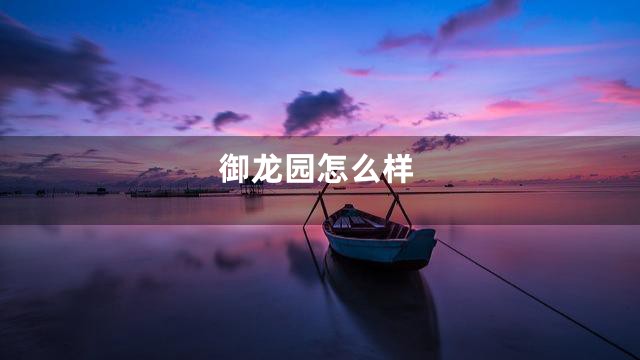 御龙园怎么样