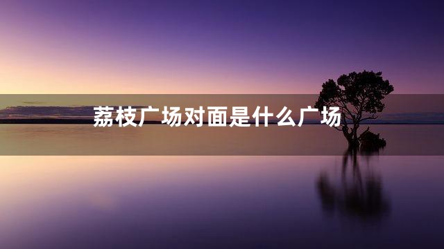 荔枝广场对面是什么广场