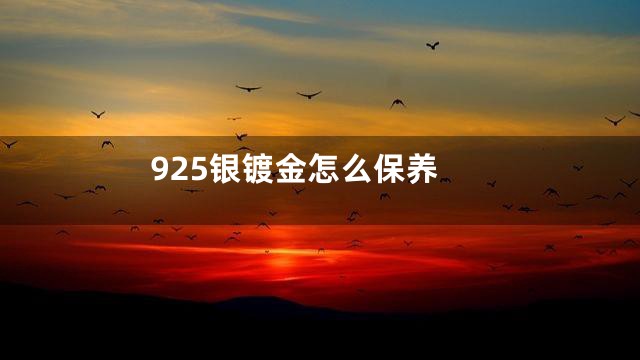 925银镀金怎么保养
