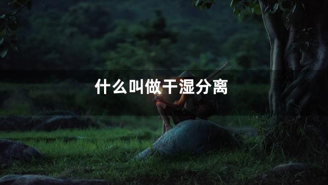 什么叫做干湿分离