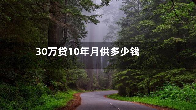 30万贷10年月供多少钱