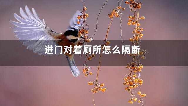 进门对着厕所怎么隔断