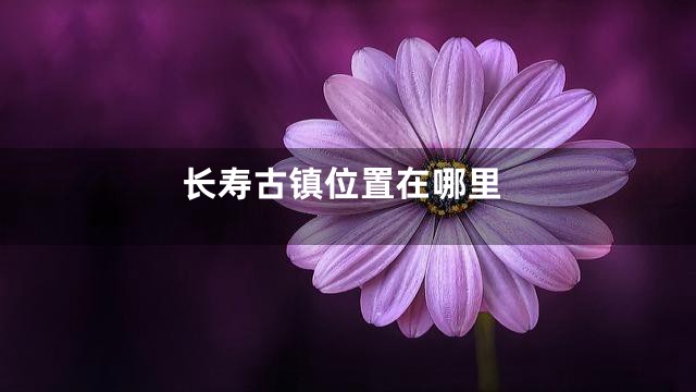 长寿古镇位置在哪里