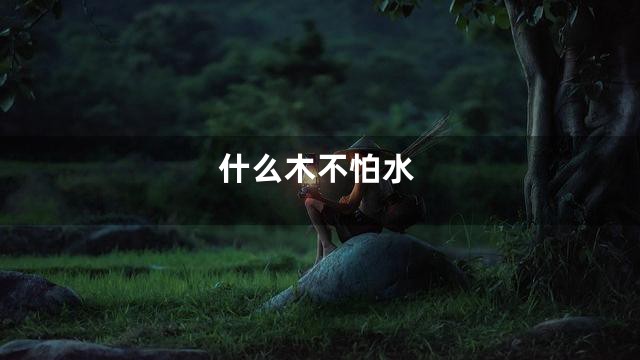 什么木不怕水