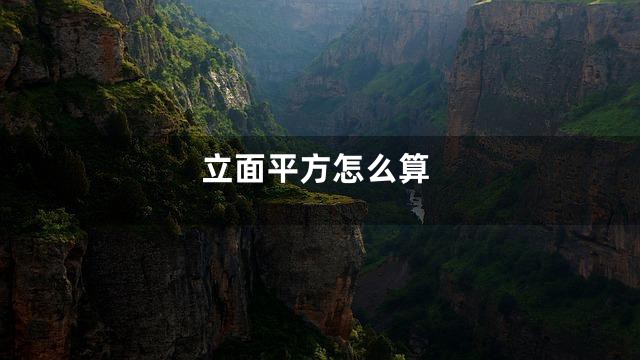 立面平方怎么算