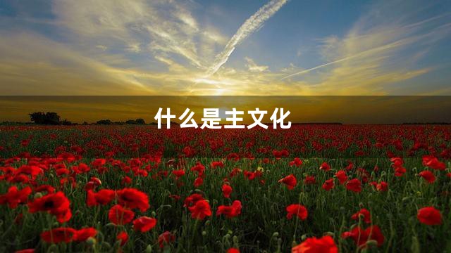 什么是主文化