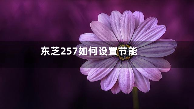 东芝257如何设置节能