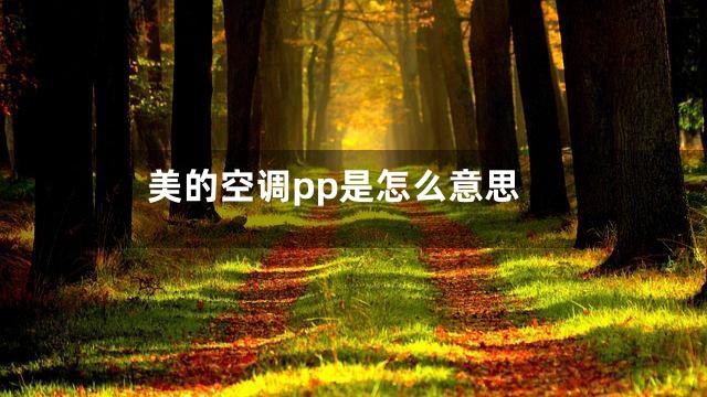 美的空调pp是怎么意思