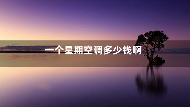 一个星期空调多少钱啊