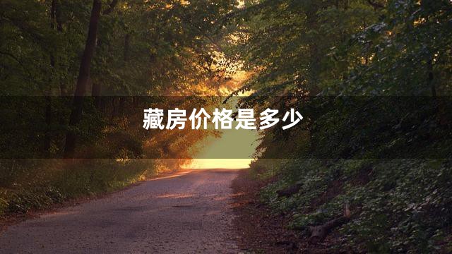 藏房价格是多少