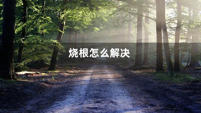 烧根怎么解决