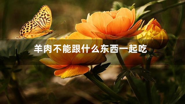 羊肉不能跟什么东西一起吃