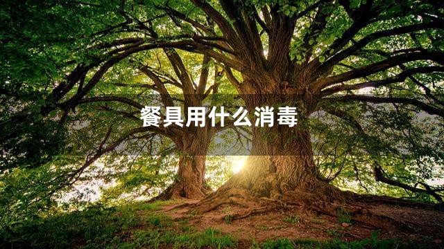 餐具用什么消毒