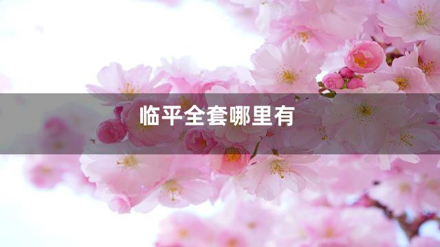 临平全套哪里有