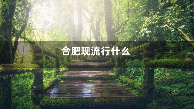 合肥现流行什么