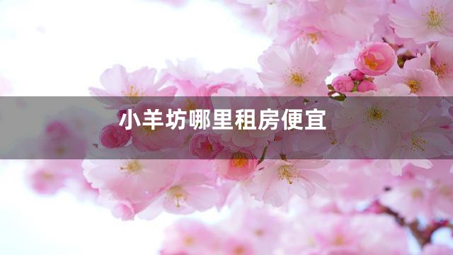 小羊坊哪里租房便宜