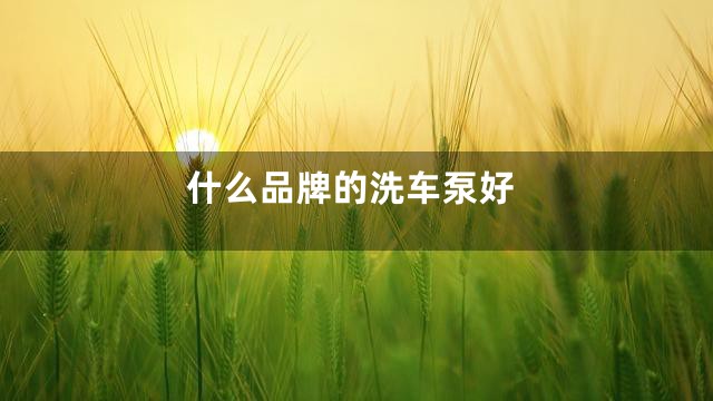 什么品牌的洗车泵好