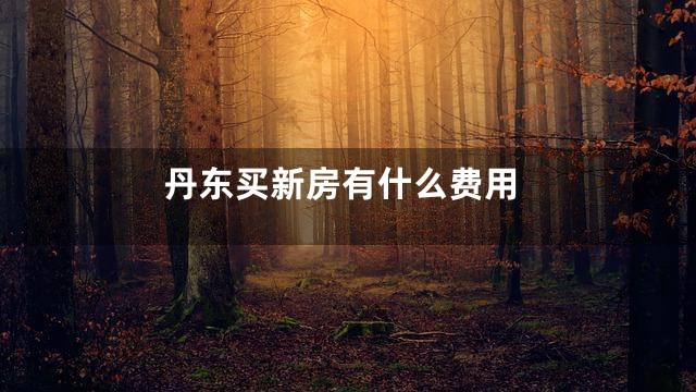 丹东买新房有什么费用