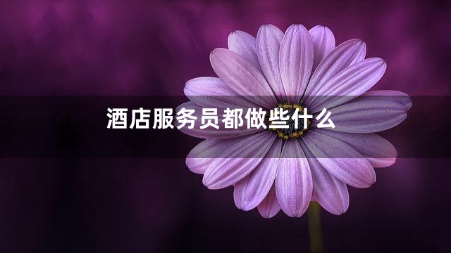 酒店服务员都做些什么