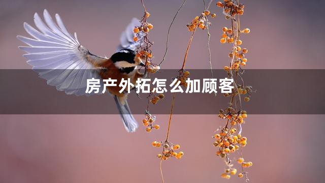 房产外拓怎么加顾客