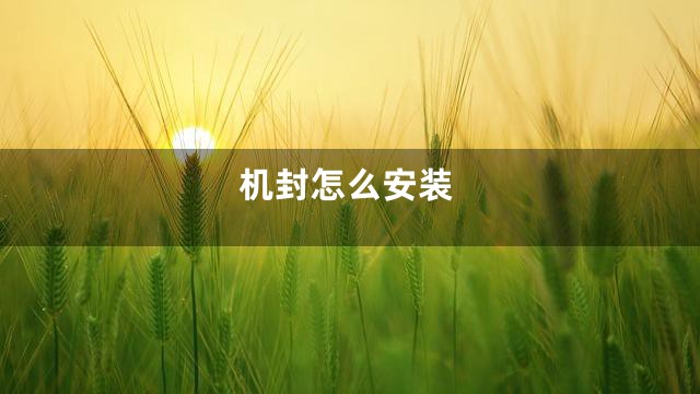 机封怎么安装