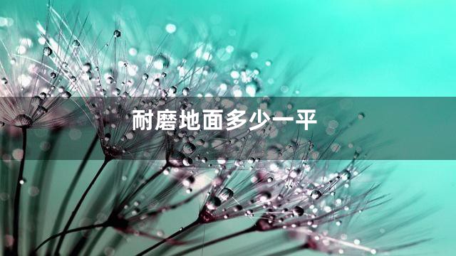 耐磨地面多少一平
