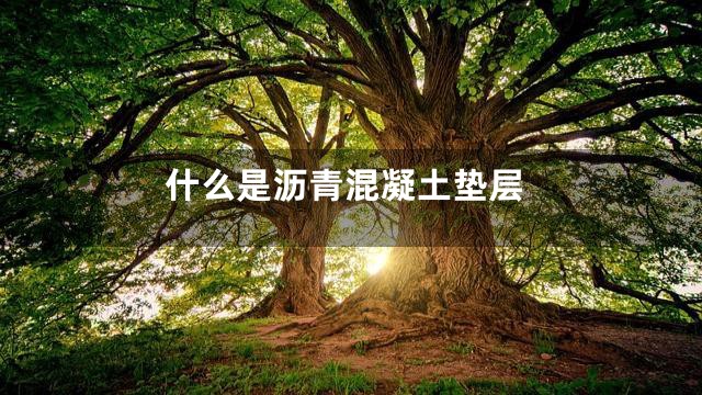 什么是沥青混凝土垫层