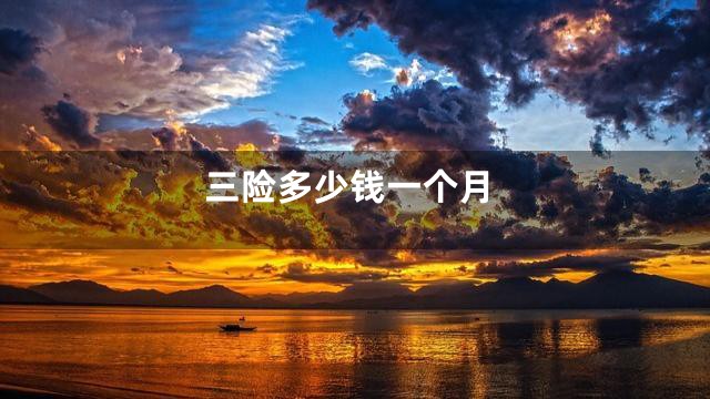 三险多少钱一个月