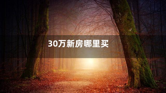 30万新房哪里买