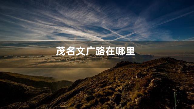 茂名文广路在哪里
