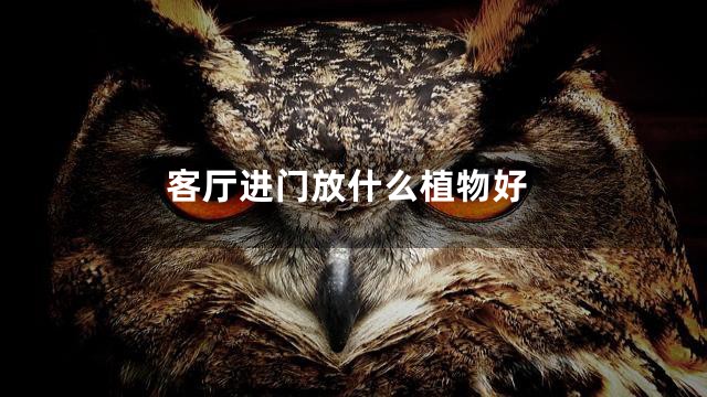 客厅进门放什么植物好