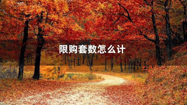 限购套数怎么计